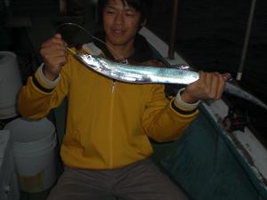半夜のタチウオ釣り