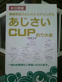 あじさいカップ 2013/06/19 04:34:20