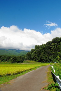 石徹白キャンプ釣行Ⅲ