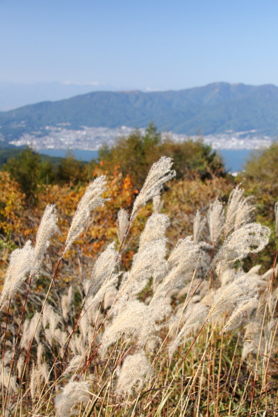 木曽駒ヶ岳登山のはずが・・・（前半）