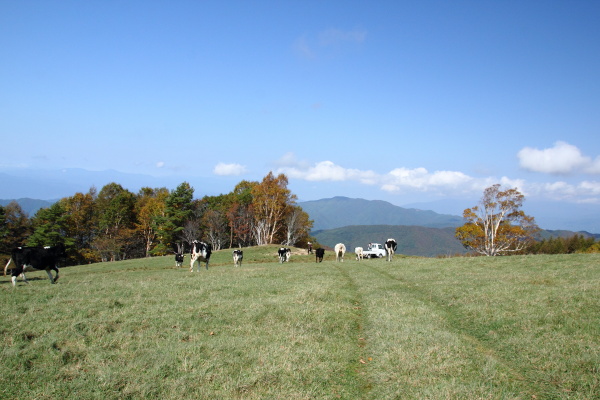 木曽駒ヶ岳登山のはずが・・・（後半）