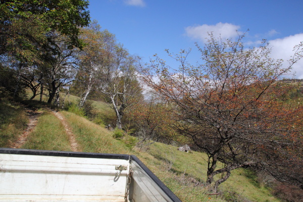 木曽駒ヶ岳登山のはずが・・・（後半）