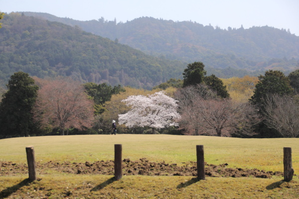 バックパックで花見へ