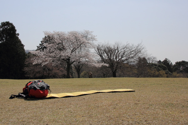 バックパックで花見へ