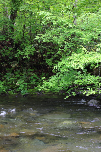 長野遠征　贅沢プラン（前半）　