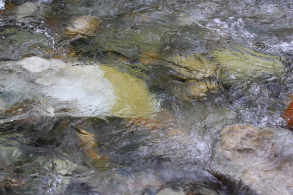 北陸遠征　増水の渓へ