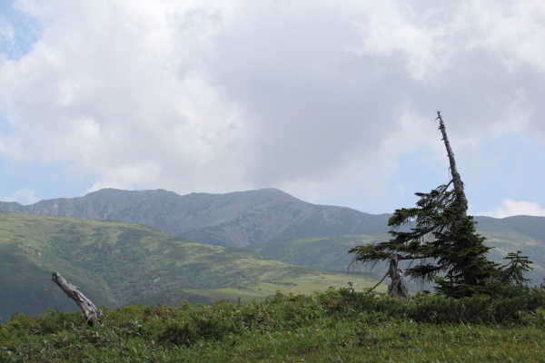 初テント泊登山　薬師岳（前半）