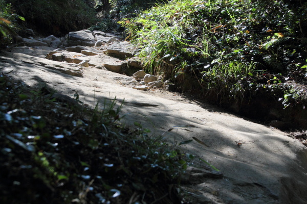 初テント泊登山　薬師岳（前半）