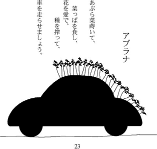 自分で野菜を育てよう・・・