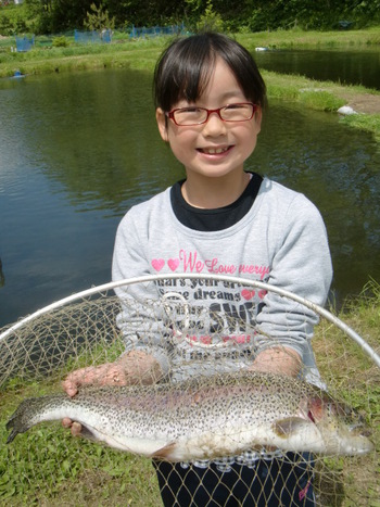 夏きたり・・・雨が恋しい　アオミドロフリー