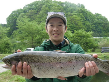 夏きたり・・・雨が恋しい　アオミドロフリー