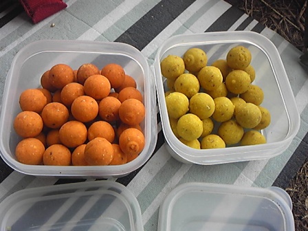 夏の釣り