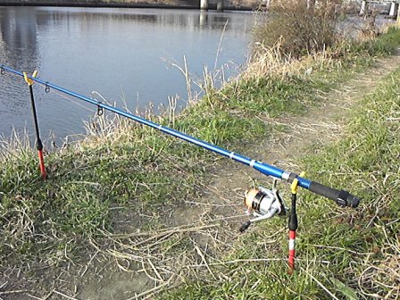 魚にあわせる