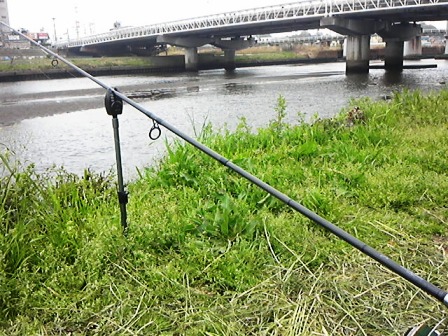 また釣れず