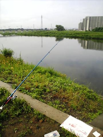 炎天下の鯉釣り。