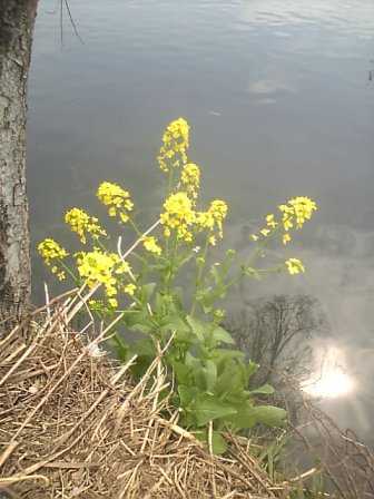 4月2日釣行記