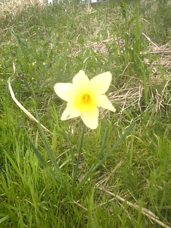4月2日釣行記