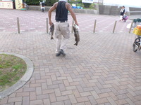 初めてのシーバス釣りでの知多堤ランカーシーバスはいた！ 2012/08/20 09:24:14