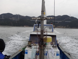 ３月はメバル釣り