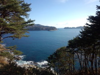 出張中　in大槌町　 2012/11/30 22:12:53