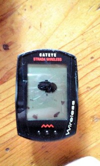 歩道で背負い投げ…再起不能