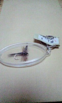 みっけ 2008/10/31 22:48:22