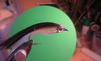 今日の朝、、、 2009/02/28 19:27:44