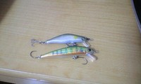 ルアー購入 2009/04/19 17:50:27