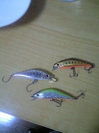 新戦力 2009/05/11 01:15:22