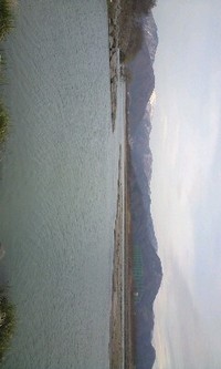 やっと 2010/03/31 21:18:58