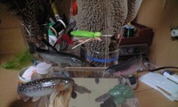 絶対に…。 2008/11/20 21:20:46