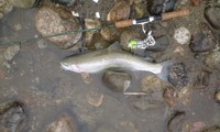 名も知らない川 2009/03/13 17:44:45