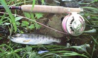 一日中釣りなかんじでした 2009/05/10 12:29:30