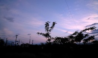 う゛ぉ～ず 2009/05/24 00:55:28