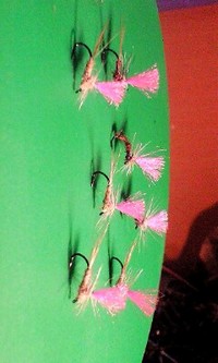 パラシュート 2009/03/27 00:13:09