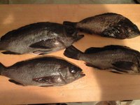 メバル料理 2010/02/26 17:45:18
