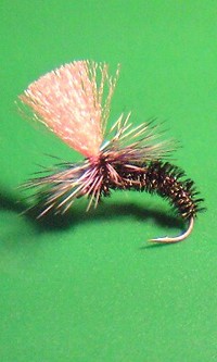 お気に入りフライ 2008/10/23 21:32:45