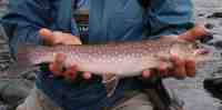 8月，北海道遠征．．．哀悼 2008/09/02 02:35:35