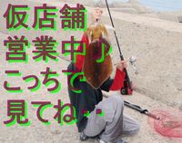 どうも　瀬戸内通信です。 2009/06/02 07:00:00