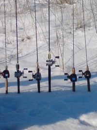 リベンジ 2009/03/01 21:59:35
