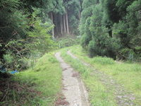 幻の滝　滝見釣行　・・・・しかし幻に・・・・ 2009/07/14 23:44:49