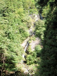 今期最終←？　は揖保川で２８ｃｍ 2009/09/25 23:04:33