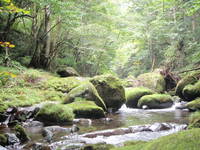 今期最終は　　千代川水系　トンネルの谷釣行 2009/09/30 23:33:36