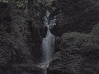 9月の釣り　千代川水系探索釣行 2009/09/14 17:45:46
