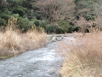 解禁2013　狩野川デビュー戦　 2013/03/07 07:00:00