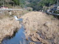 遅い春がやってきた！千代川支流探索解禁釣行 2010/04/06 00:43:13