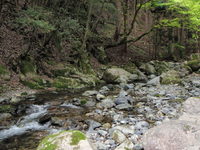 千代川釣行　源流部のイワナに逢いに 2010/05/20 20:13:27