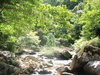 ９月１６日　千代川水系　支流開拓 2012/09/20 07:00:00