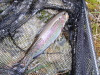 湯原は寒くて、さぶーかった 2010/12/01 22:50:57