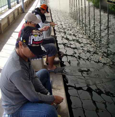 2009-10-12　千葉県/座間養魚場